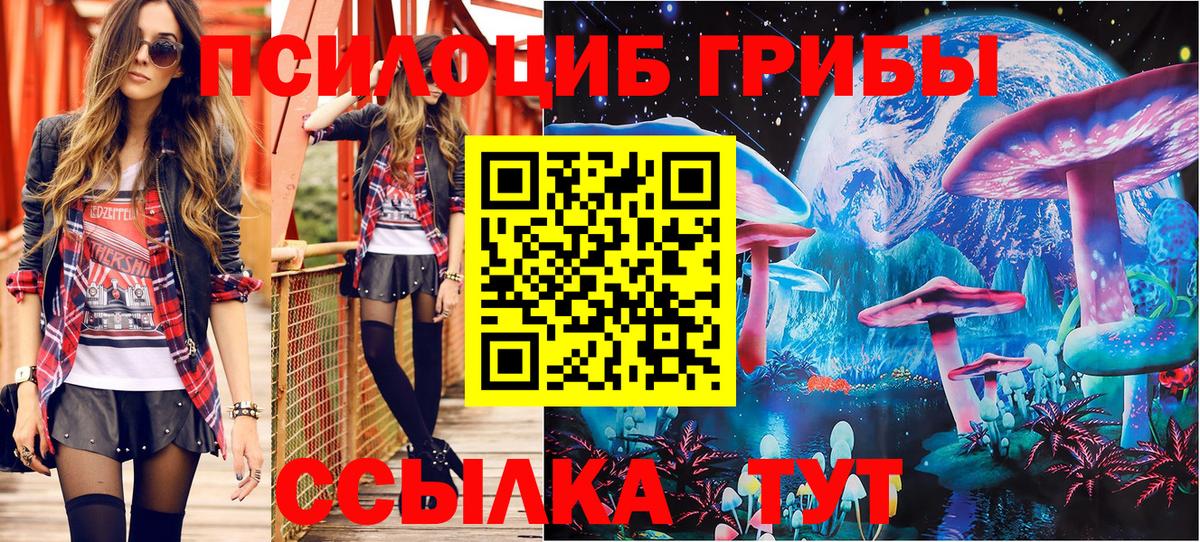 Псилоцибиновые грибы Magic Shrooms Калуга