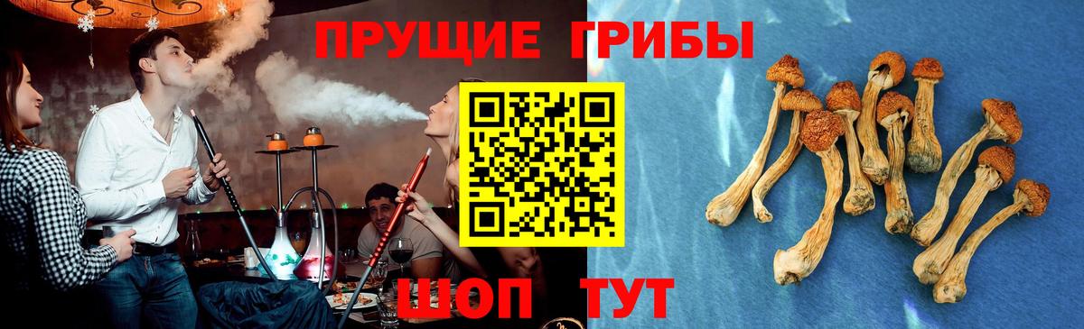 Псилоцибиновые грибы мицелий  Вход с VPN  Псилоцибиновые грибы Magic Shrooms  Калуга 